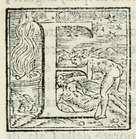 An illustration from Il Mago rilvcente : torneo fatto nella città di Ferrara per le nozze del principe & della principessa di Vrbino : a IX. di febraro M.D.LXX (1570)