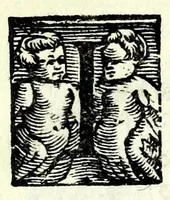 Picture 3 of 4 from Il marinaio : comedia nova (1550), leaf 9