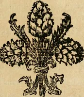 Picture 4 of 13 from Il Meo Patacca : o vero Roma in feste ne i trionfi di Vienna : poema giocoso nel linguaggio romanesco (1695), leaf 18
