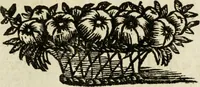 Picture 10 of 13 from Il Meo Patacca : o vero Roma in feste ne i trionfi di Vienna : poema giocoso nel linguaggio romanesco (1695), leaf 288
