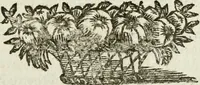 Picture 12 of 13 from Il Meo Patacca : o vero Roma in feste ne i trionfi di Vienna : poema giocoso nel linguaggio romanesco (1695), leaf 412