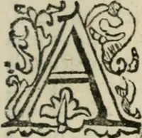 An illustration from Il microcosmo della pittura, overo, Trattato diviso in due libri : nel primo spettante alla theorica si discorre delle grandezze d'essa pittura ... : nel secondo, che in ordine al primo dimostra la pratica, s'additano l'opere diverse più famose ... (1657)