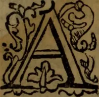 Picture 40 of 40 from Il microcosmo della pittvra : ouero trattato diuiso in due libri. Nel primo spettante alla theorica si discorre delle grandezze d'essa pittura ... Nel Secondo, che in ordine al primo dimostra la pratica ... (1657), leaf 414
