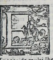 An illustration from Il mondo e sue parti cioe Europa, Affrica, Asia, et America. : Nel quale, oltre alle tauole in disegno, si discorre delle sue prouincie, regni, regioni, città ... e costumi. (1595)