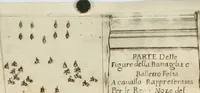 Picture 6 of 7 from Il Mondo festeggiante : balletto a cavallo, fatto nel teatro congiunto al palazzo del sereniss. gran dvca, per le reali nozze de' serenissimi principi Cosimo Terzo di Toscana, e Margherita Lvisa d'Orleans (1661), leaf 45