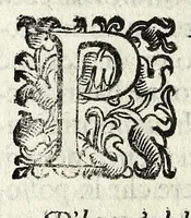 An illustration from Il mostruosissimo mostro (1611)