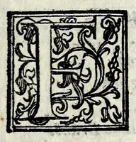 An illustration from Il mostruosissimo mostro (1611)