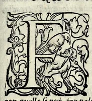 An illustration from Il mostruosissimo mostro (1611)