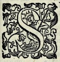 An illustration from Il mostruosissimo mostro (1611)