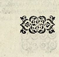 An illustration from Il mostrvosissimo mostro (1592)