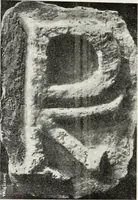 An illustration from Il Palazzo Vidoni in Roma appartenente al conte Filippo Vitali : monografia storica con illustrazioni (1905)