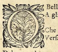 An illustration from Il pastor infido : pastorale : dedicata all' AA. SS. EE. di Federico III e Carlotta Sofia di Brandemburgo &c. &c. &c. (1696)