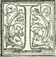 An illustration from Il pellegrino : comedia nova (1552)