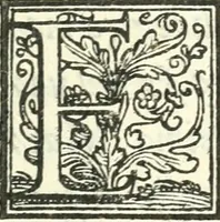 An illustration from Il pellegrino : comedia nova (1552)