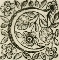 An illustration from Il pennello lagrimato : orazione funebre (1665)