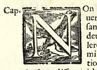 An illustration from Il perfeto bombardiero et real instruttione di artiglieri (1626)