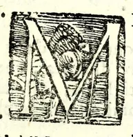 Picture 43 of 50 from Il perfeto bombardiero et real instruttione di artiglieri (1626), leaf 221