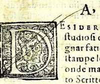 An illustration from Il perfetto cancellaresco corsivo (1579)