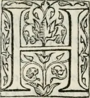 An illustration from Il primo libro del trattato delle perfette proporzioni, di tutte le cose che imitare, e ritrarre si possano con l'arte del disegno (1567)