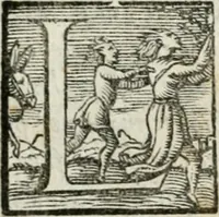 An illustration from Il primo libro del trattato delle perfette proporzioni, di tutte le cose che imitare, e ritrarre si possano con l'arte del disegno (1567)