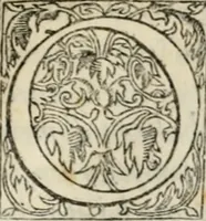 An illustration from Il primo libro del trattato delle perfette proporzioni, di tutte le cose che imitare, e ritrarre si possano con l'arte del disegno (1567)