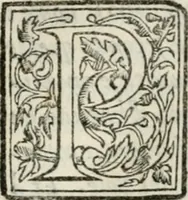 An illustration from Il primo libro del trattato delle perfette proporzioni, di tutte le cose che imitare, e ritrarre si possano con l'arte del disegno (1567)