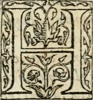 An illustration from Il primo libro del trattato delle perfette proporzioni, di tutte le cose che imitare, e ritrarre si possano con l'arte del disegno (1567)