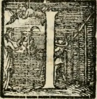An illustration from Il primo libro del trattato delle perfette proporzioni, di tutte le cose che imitare, e ritrarre si possano con l'arte del disegno (1567)