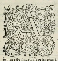An illustration from Il primo[-secondo] libro d'architettura (1551)