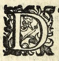 An illustration from Il ragazzo : comedia (1594)