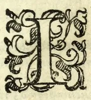 An illustration from Il ragazzo : comedia (1594)