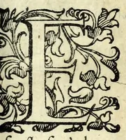 An illustration from Il ragazzo : comedia (1594)