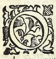 An illustration from Il ragazzo : comedia (1594)