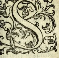 An illustration from Il ragazzo : comedia (1594)