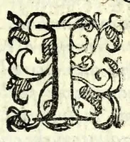 An illustration from Il ragazzo : comedia (1594)