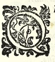 An illustration from Il re Artemidoro : tragedia (1604)