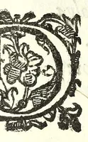 An illustration from Il re Artemidoro : tragedia (1604)