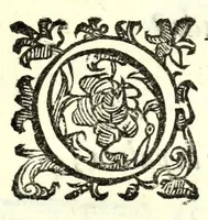 An illustration from Il re Artemidoro : tragedia (1604)