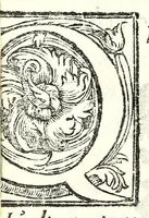 Picture 25 of 27 from Il re Artemidoro : tragedia (1604), leaf 78