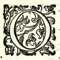 Picture 24 of 30 from Il re Gernando : tragedia (1624), leaf 105