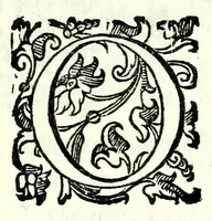 Picture 29 of 30 from Il re Gernando : tragedia (1624), leaf 131