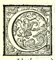 Picture 4 of 30 from Il re Gernando : tragedia (1624), leaf 15