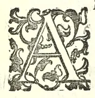 Picture 10 of 30 from Il re Gernando : tragedia (1624), leaf 46