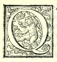 Picture 13 of 30 from Il re Gernando : tragedia (1624), leaf 61