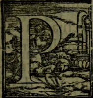Picture 9 of 39 from Il regno de gli Slavi, hoggi correttamente detti schiavoni (1601), leaf 22