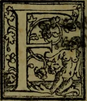 Picture 18 of 39 from Il regno de gli Slavi, hoggi correttamente detti schiavoni (1601), leaf 295