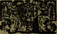 Picture 36 of 39 from Il regno de gli Slavi, hoggi correttamente detti schiavoni (1601), leaf 417