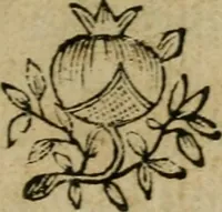 An illustration from Il reo innocente : opera tragica (1665)