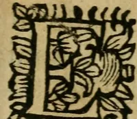 An illustration from Il reo innocente : opera tragica (1665)