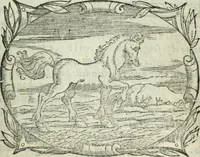 An illustration from Il rimanente de le piacevole, et ingeniose lettere indirizzate a diuersi, con bellissime argutie. Sotto varii, et sottilissimi discorsi, dechiarati (1557)